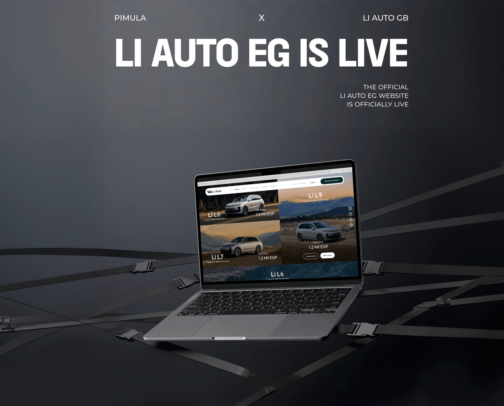 Li Auto website case study hero